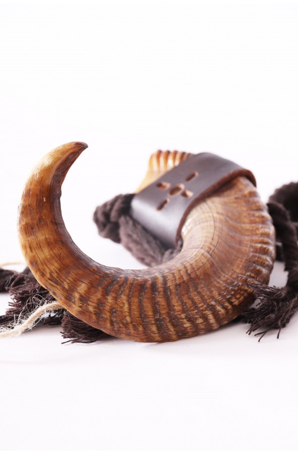 Celtic and Viking sheep horn
