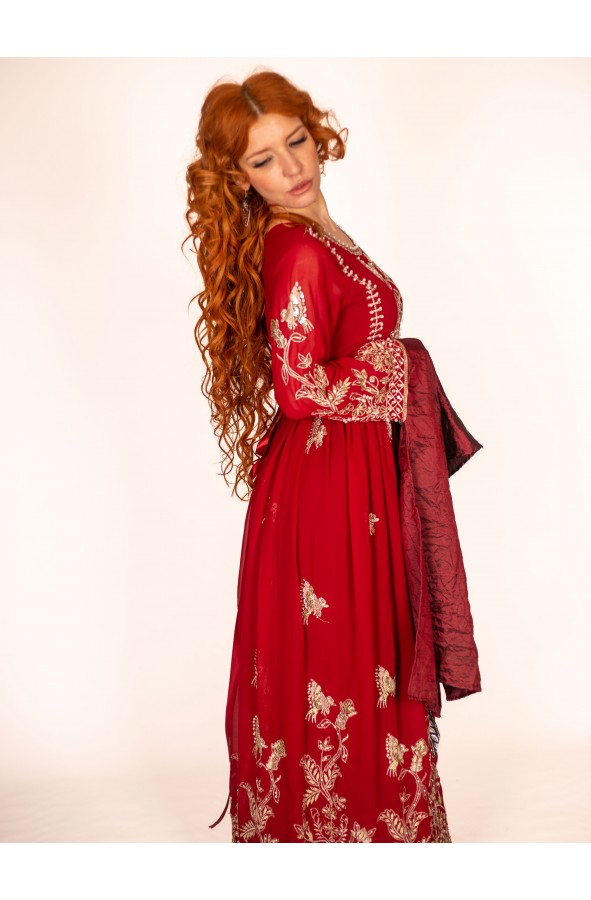 red and gold medieval dress Queen with silver Embroidery LD25